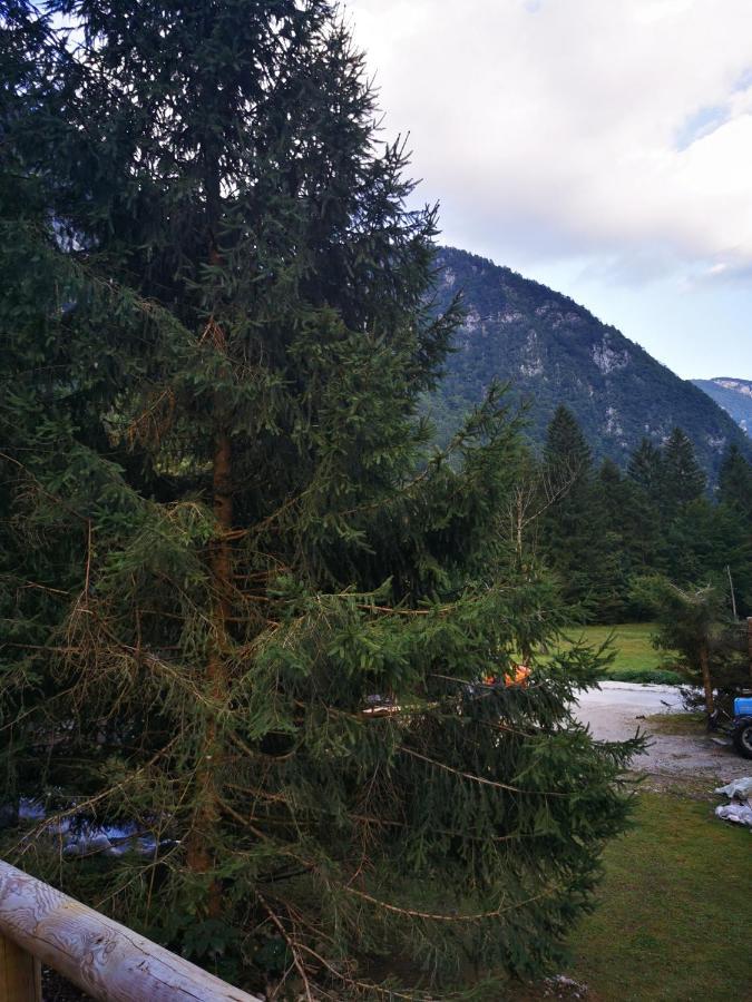 Villa U Konc Stahovica Exterior foto